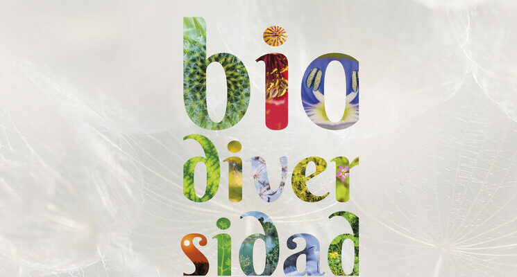 49 1kmbiodiversidad Cartel