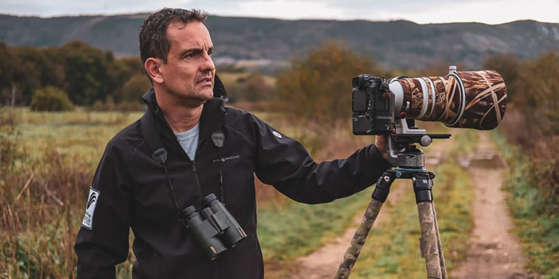 Kiko arcas destacada